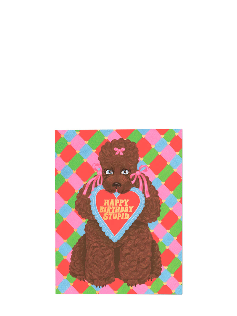 Double greeting card with a brown French poodle dog with bows in both ears, holding a heart-shaped 'Happy Birthday Stupid' sign on a colorful checkered background