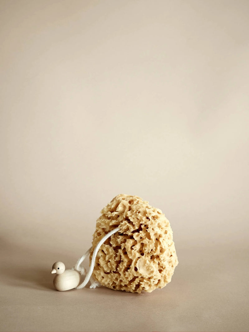 Bath sponge with duck