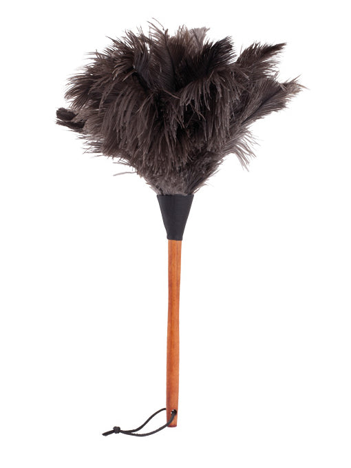 Ostrich feather duster, dark