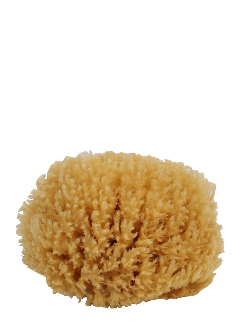 Bath sponge with cotton strap, natural