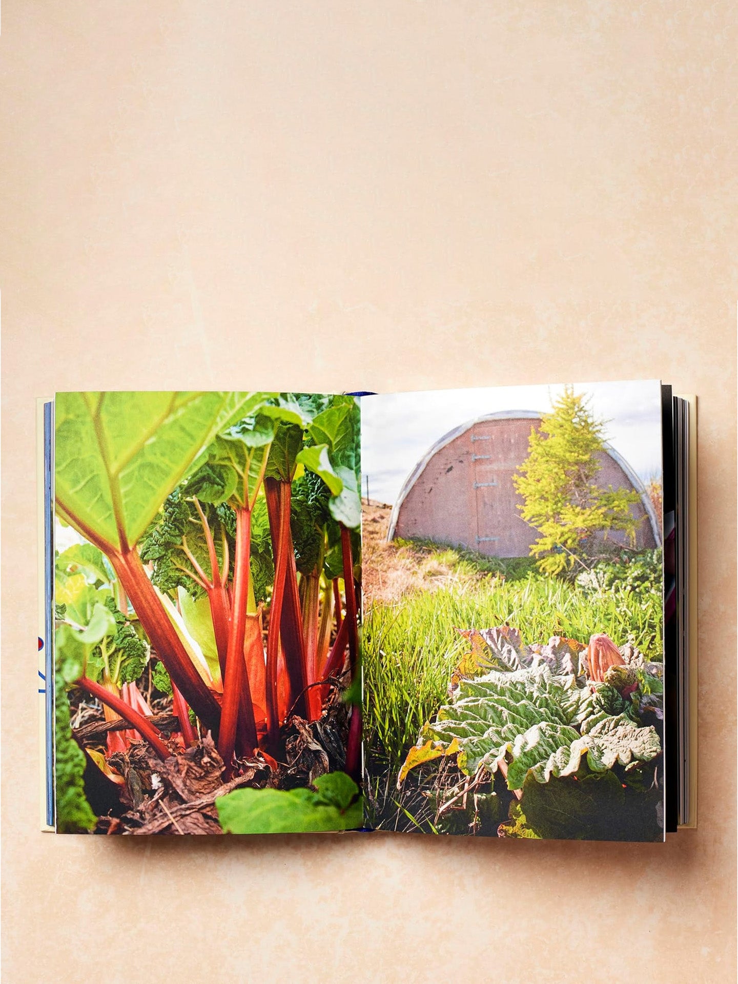Scandinavia - Recipes and Ingredients