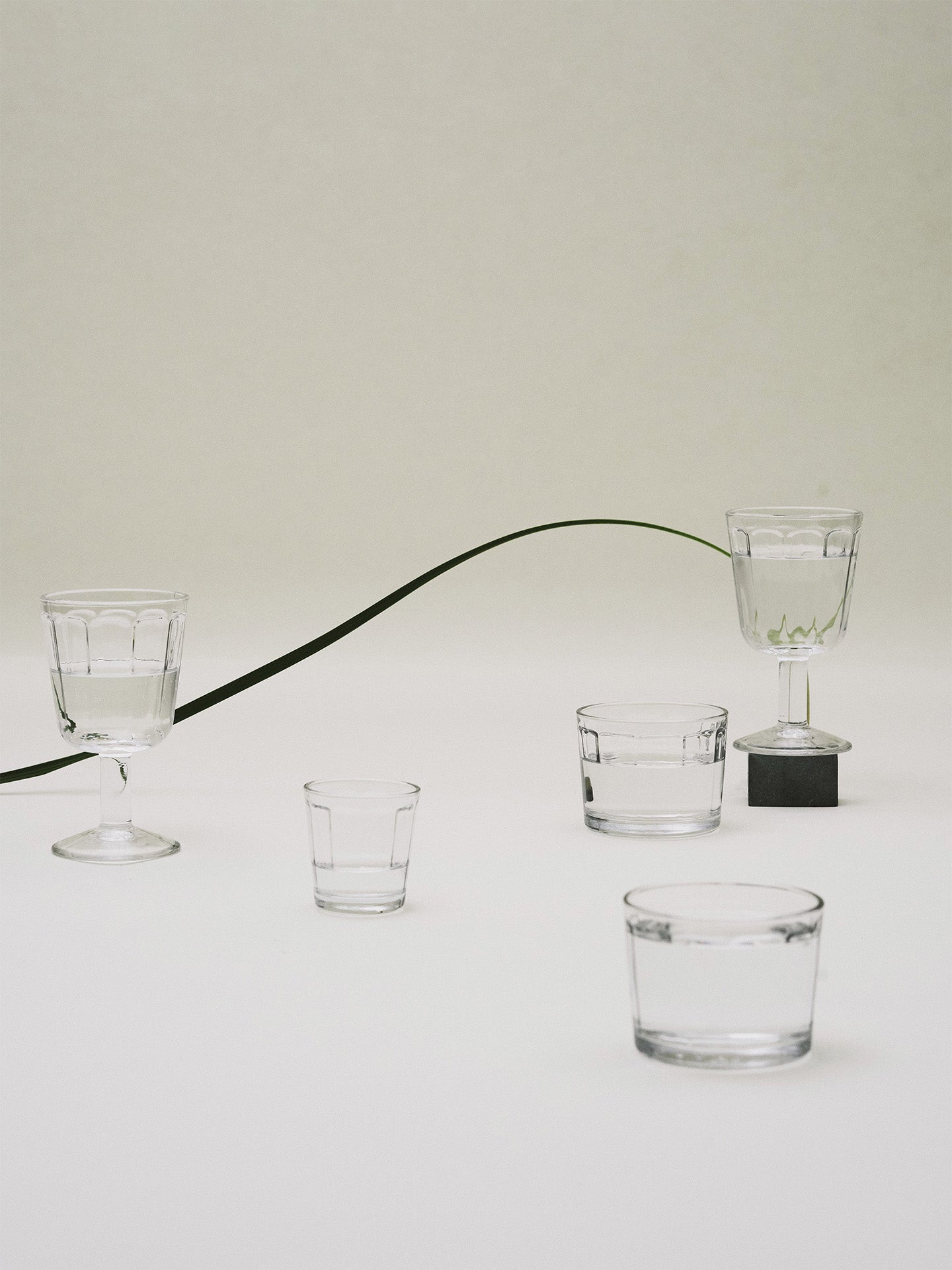 Surface White Wine Glass (22 cl)