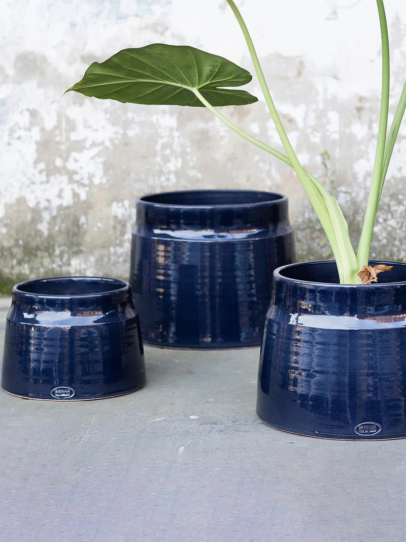 Three glossy dark navy ceramic planters in graduated sizes, with a green leafy plant in the front right pot, set against a textured light gray wall and concrete surface.