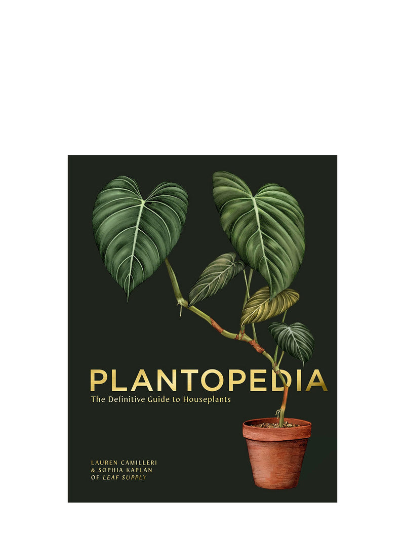 Plantopedia: The Definitive Guide to House Plants