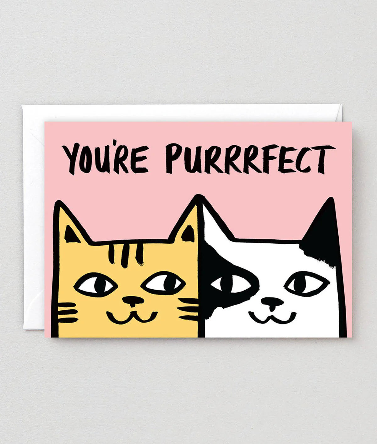 Greeting card with two cats and 'You're Purrfect' text on a pink background