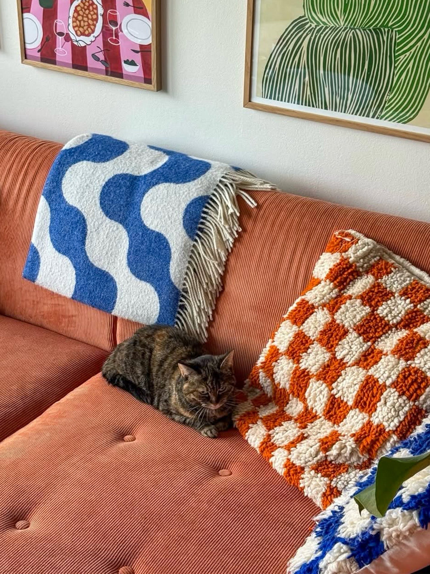 A brown tabby cat rests on a terracotta-colored corduroy sofa, surrounded by two textured throw pillows and a blue-and-white wavy woollen throw blanket. The background shows a white wall with framed art in a cozy, bohemian and trendy home.