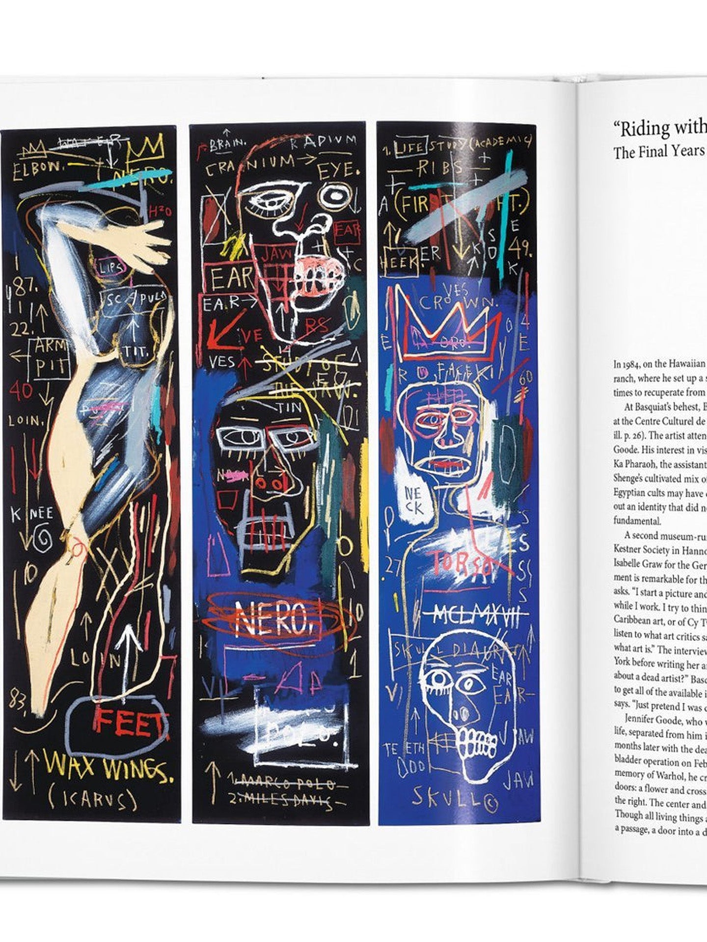 Basquiat, Basic Art Series
