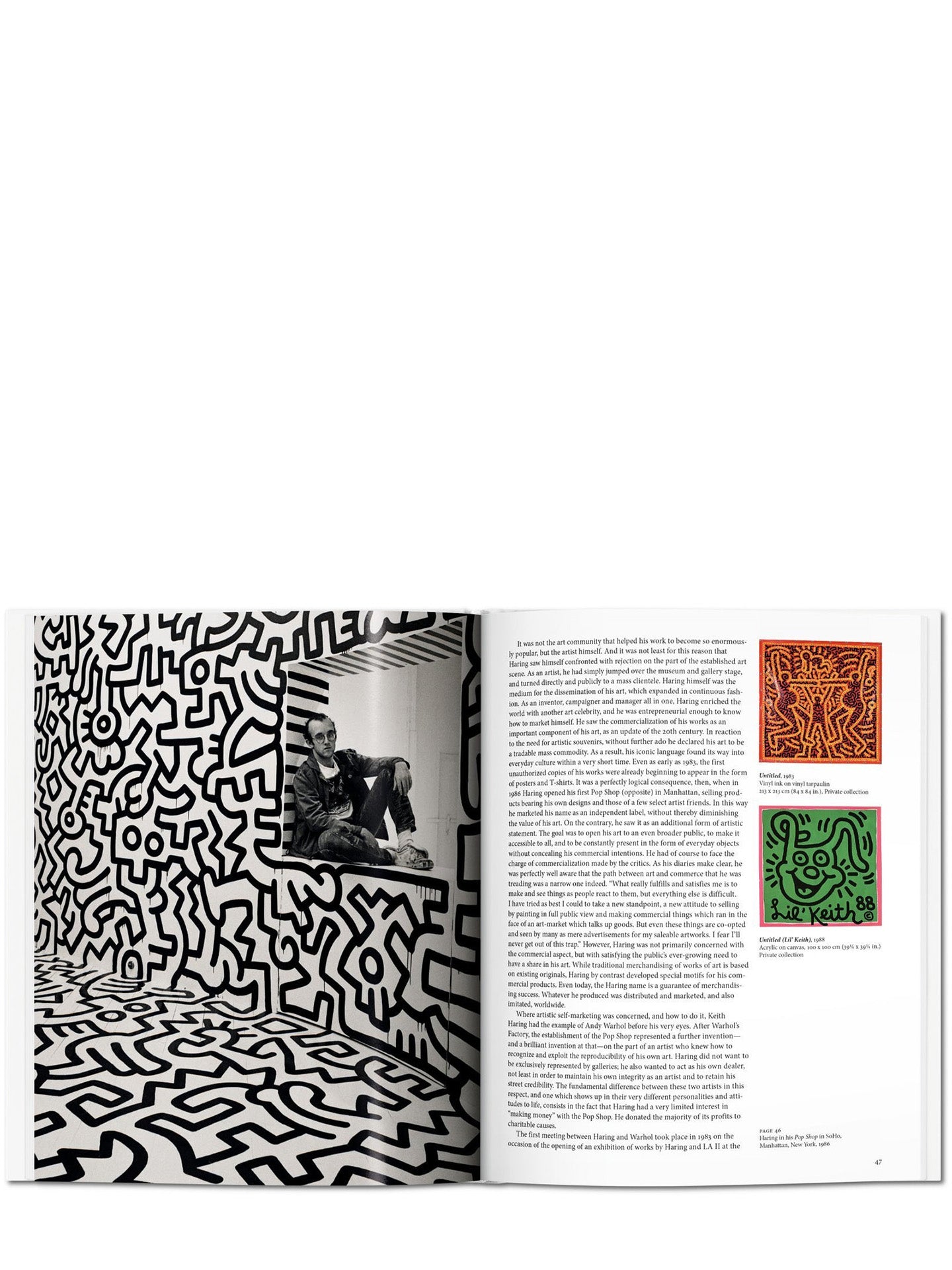 Haring, Basic Art Series