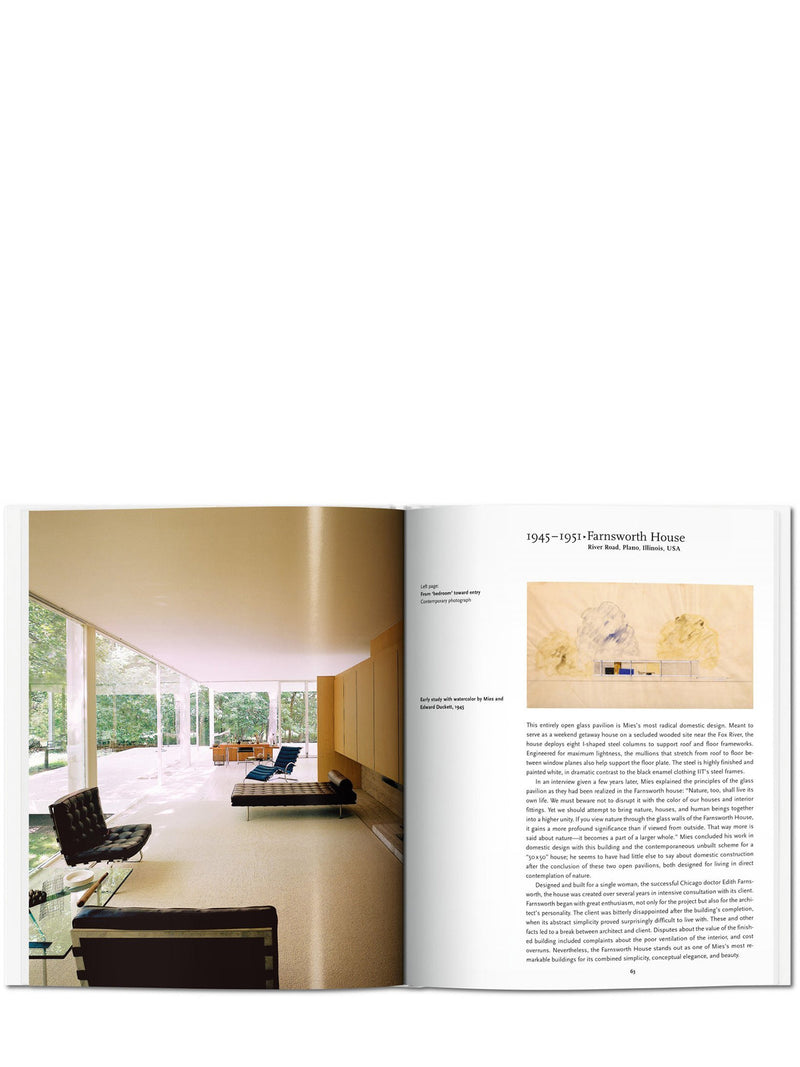 Mies Van Der Rohe, Basic Art Series