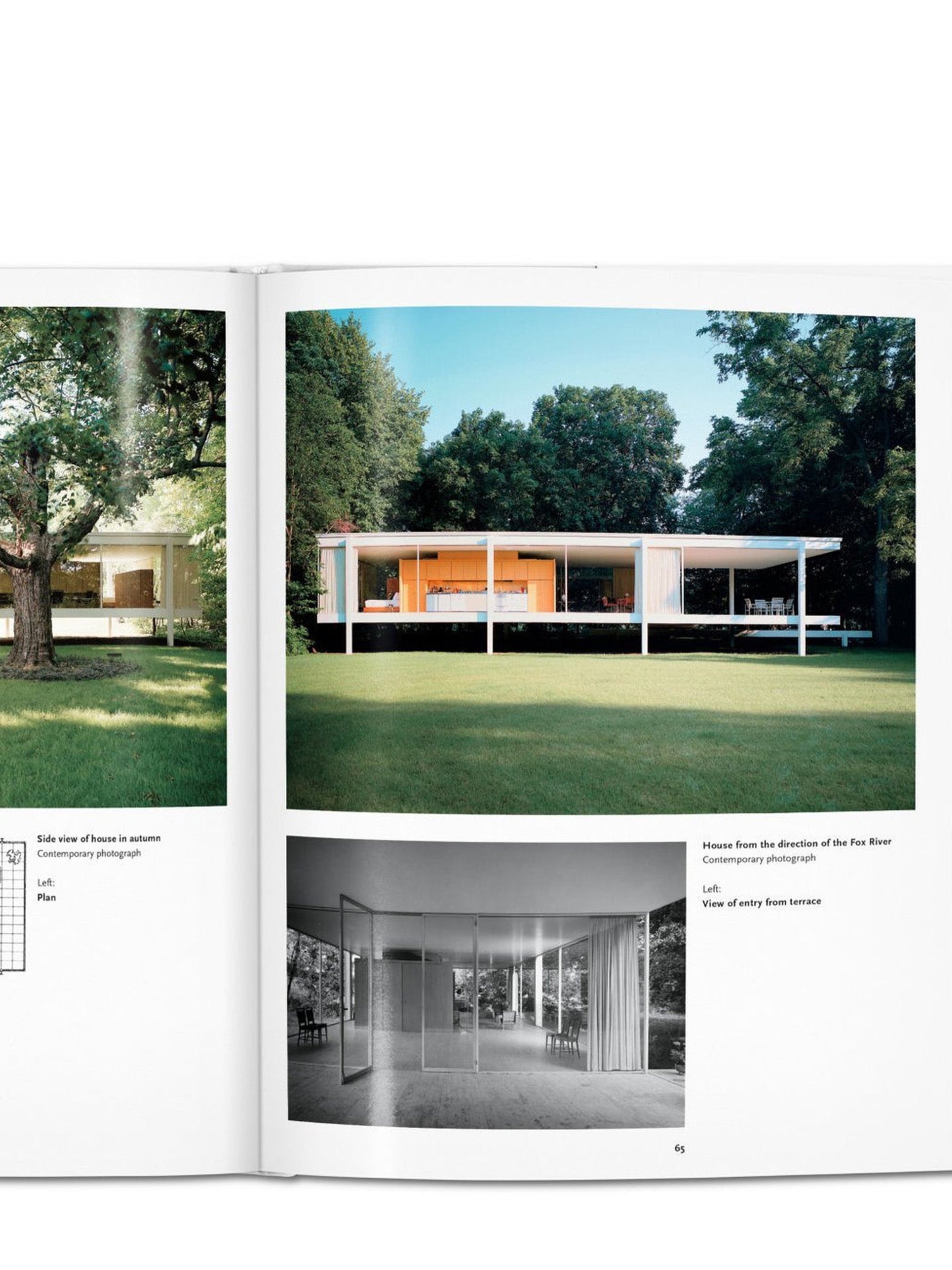 Mies Van Der Rohe, Basic Art Series