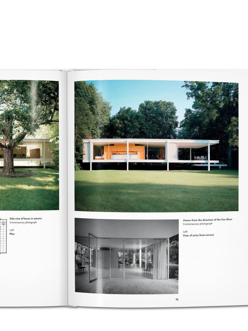 Mies Van Der Rohe, Basic Art Series