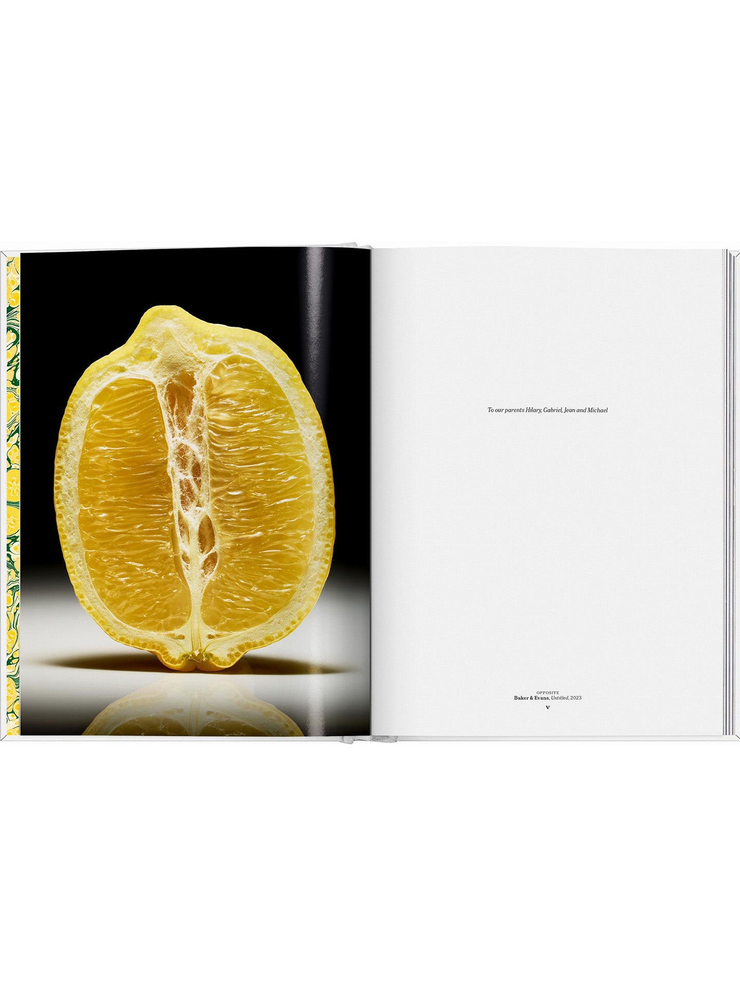 The Gourmand's Lemon – A Collection of Stories and Recipes