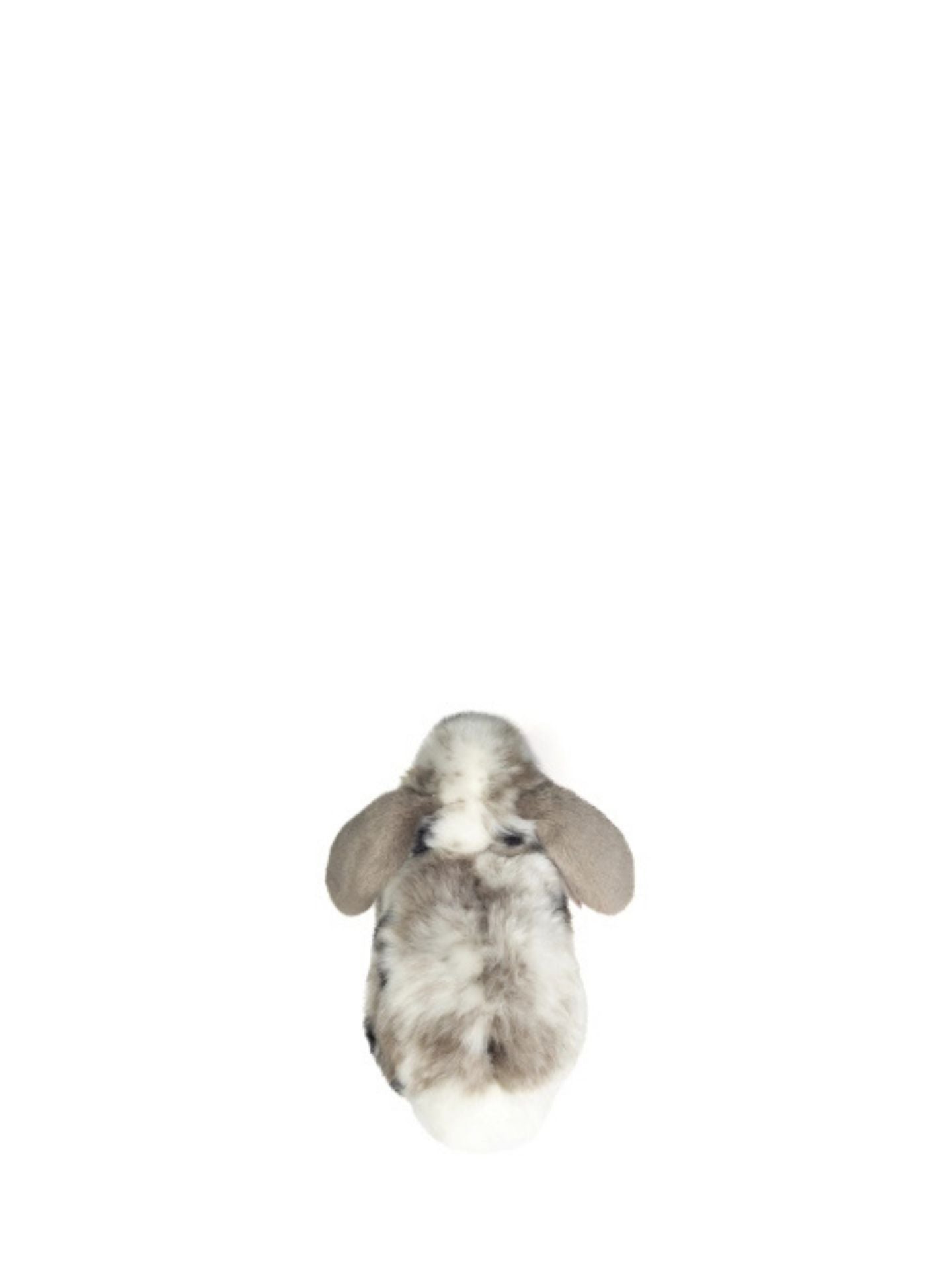 Holland Lop melange spottet soft toy (23 cm)