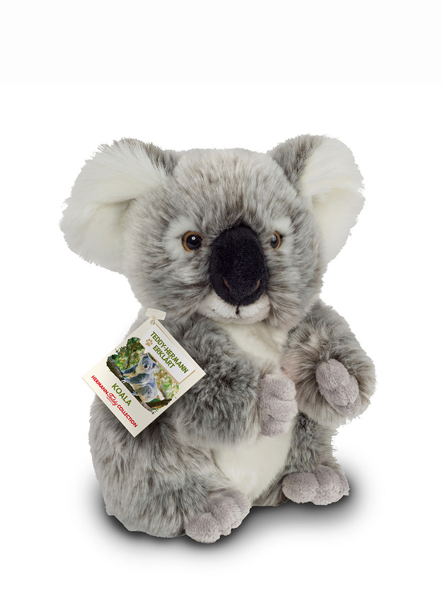 Koala soft toy (21cm)