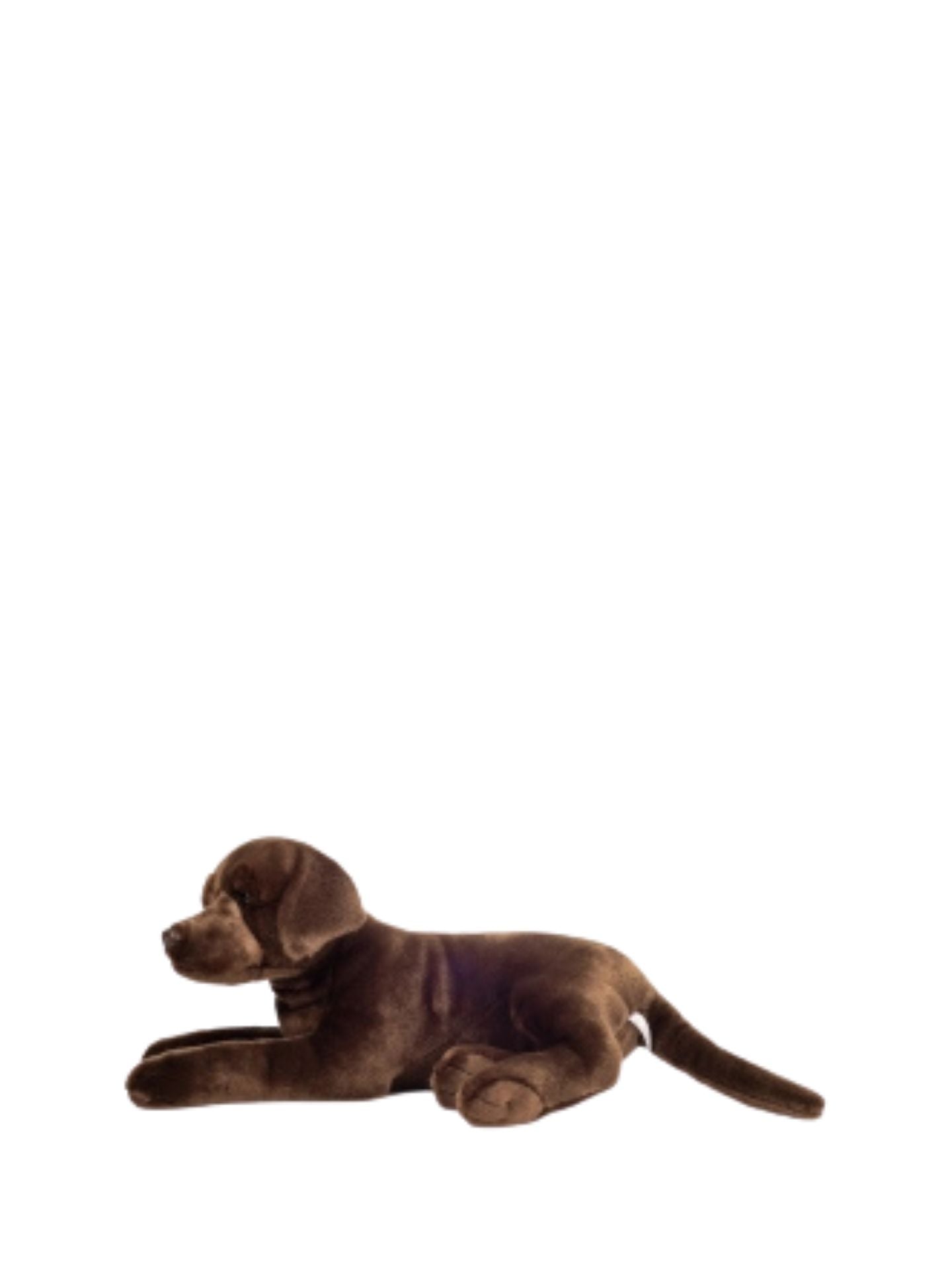 Labrador dark brown soft toy (50 cm)