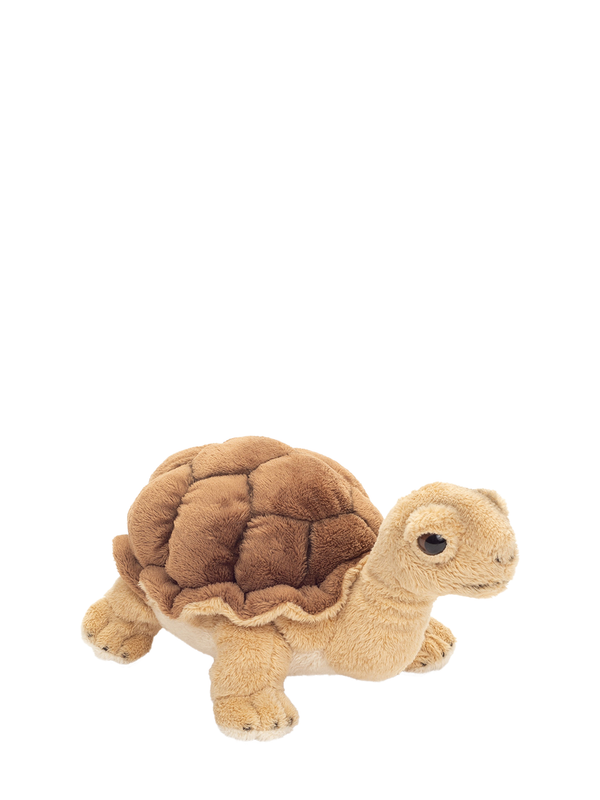Tortoise soft toy (20cm)