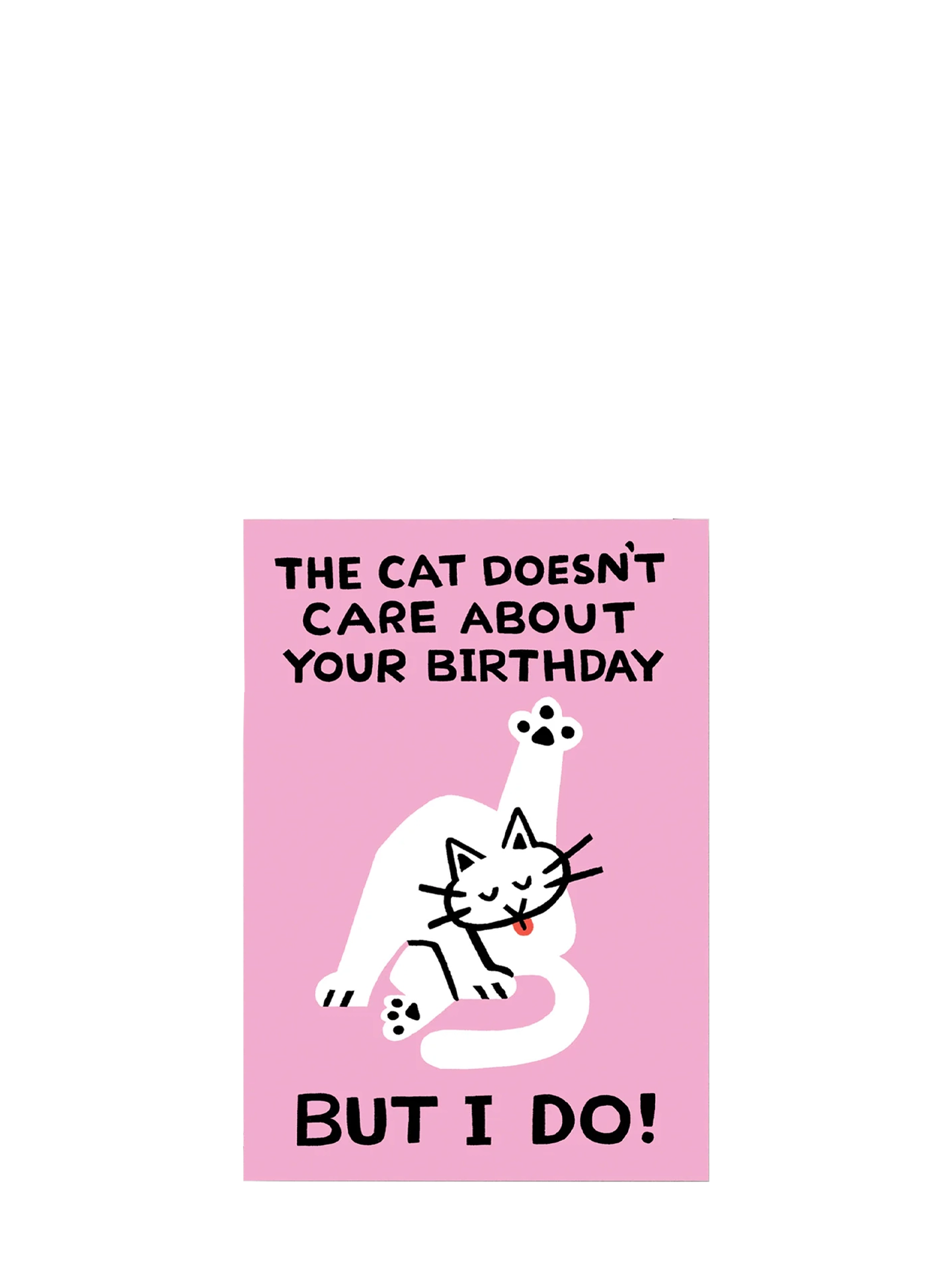 The Cat Doesn't Care birthday card