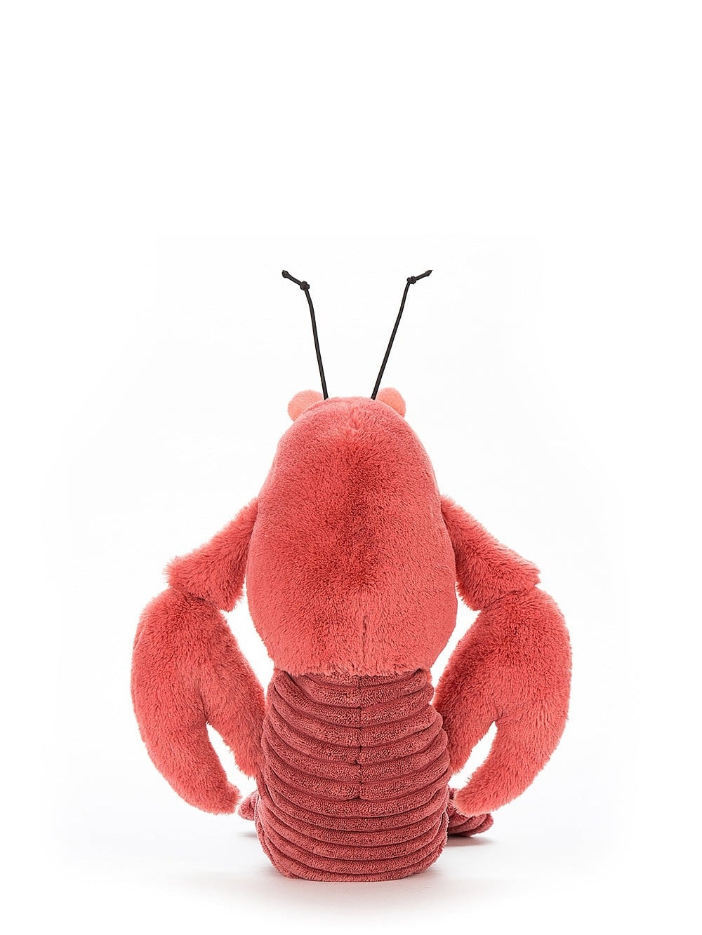 Larry Lobster, small
