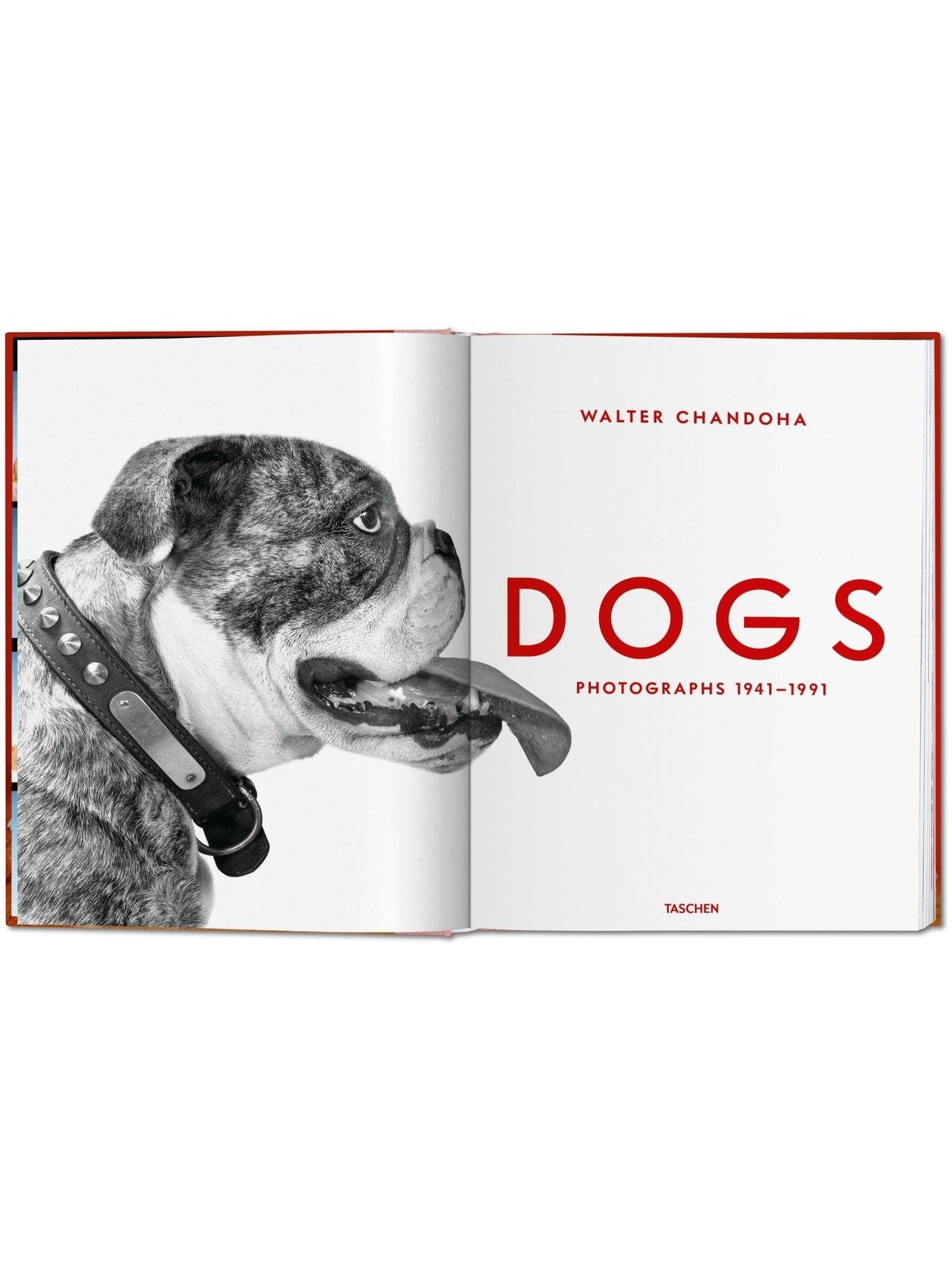 Dogs. Walter Chandoha. Photographs 1941–1991