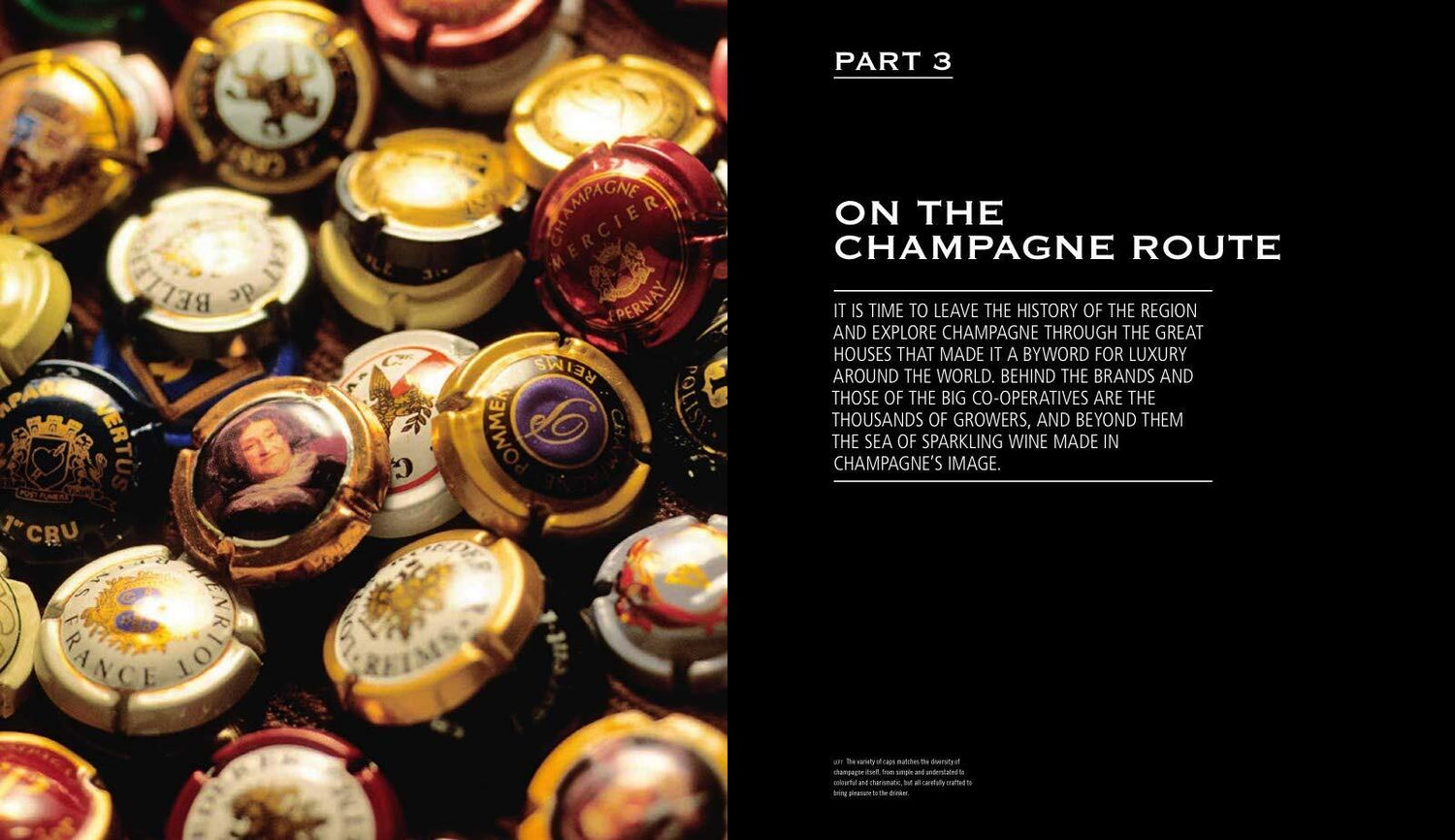 Champagne - Wine of Kings and the King of Wines, book