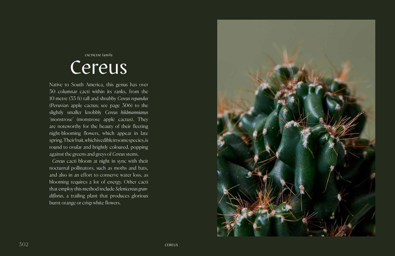 Plantopedia: The Definitive Guide to House Plants