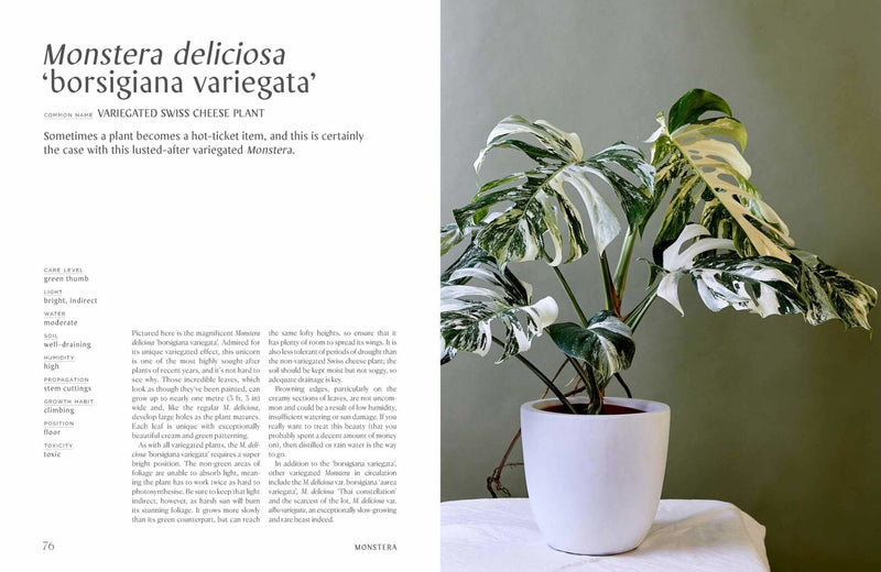 Plantopedia: The Definitive Guide to House Plants